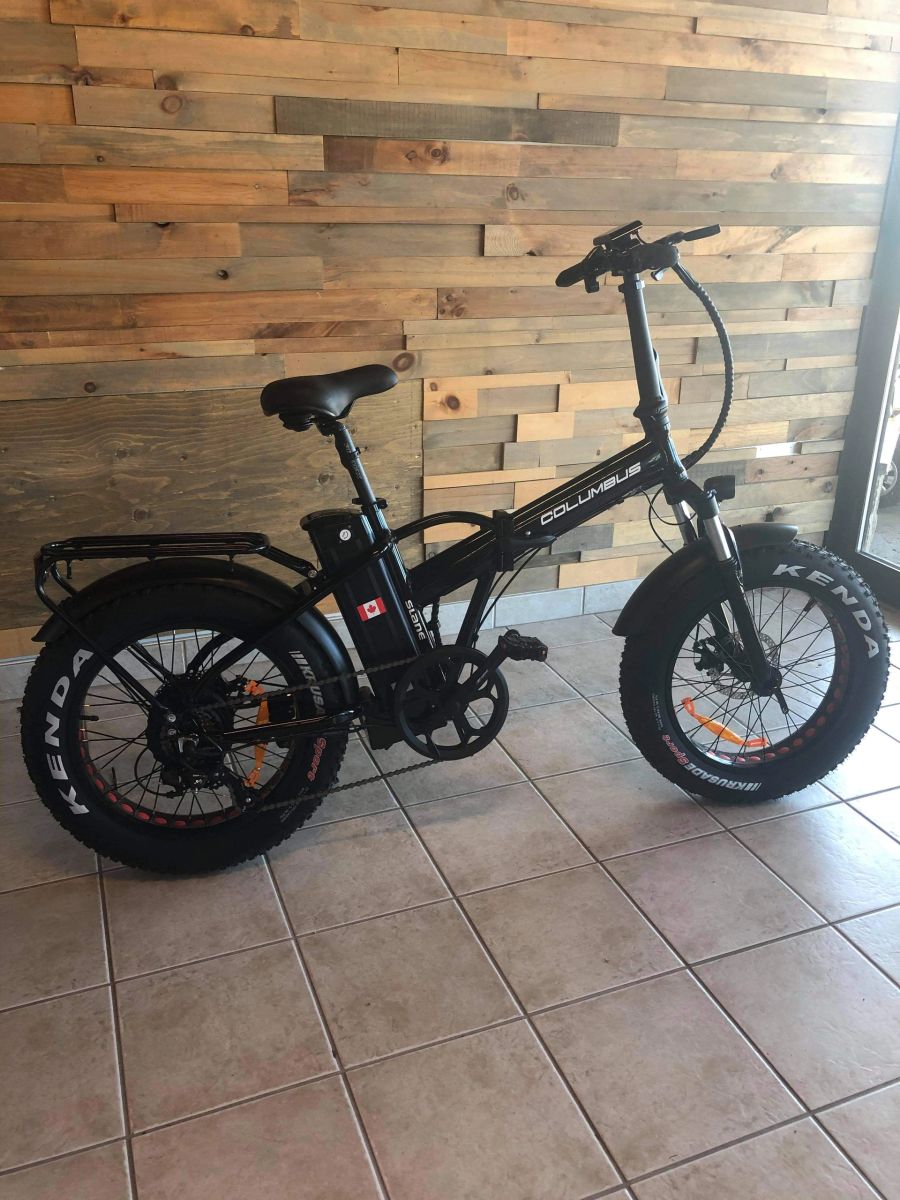 Vélo électrique Pliable Youin Luxor Pro - Moteur 250W, Autonomie 100 Km, Freins Hydrauliques, écran Couleur